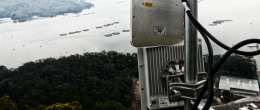 Infinet Wireless Implements Cost Effective Solution To Improve And Accelerate The Supply Chain of Regal Fish Farms