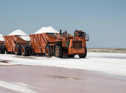 Upgrading existing wireless infrastructure for salt suppliers from the mainland to the coast of Mexico